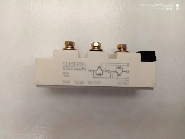 IGBT Module SKM75GB124D